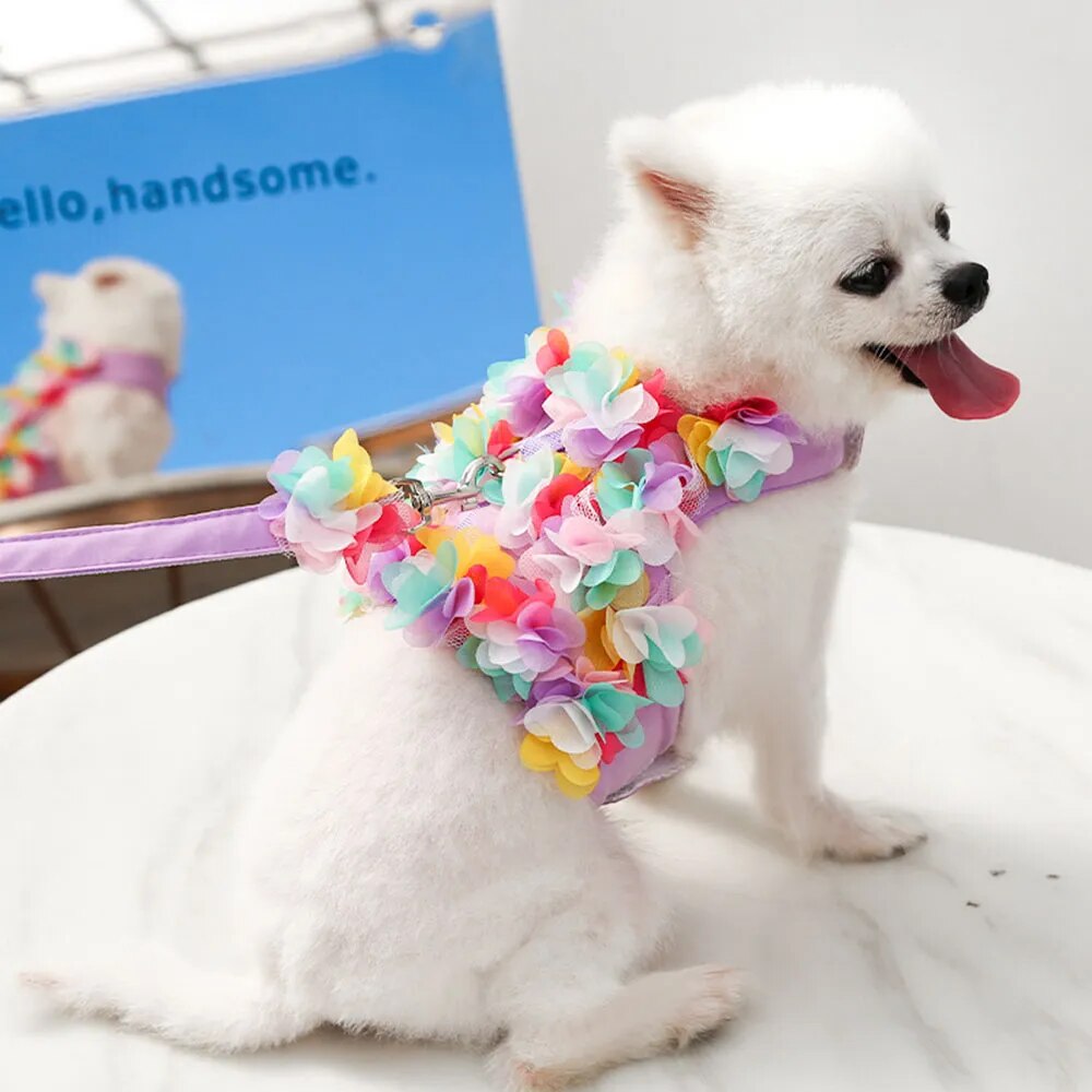 Conjunto de arnés y correa para perros de niña de flores de lujo, sin tirones, malla transpirable suave y ajustable, chaleco de seguridad para mascotas con flores lindas para cachorros, accesorios de arnés