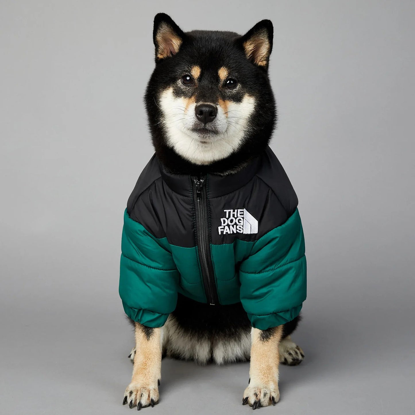 Chaqueta de invierno con cara de perro para perros pequeños y medianos, chaleco grueso y cálido para perros, abrigo para cachorros de Bulldog Francés, estilo de moda