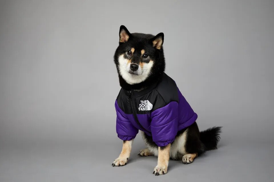 Chaqueta de invierno con cara de perro para perros pequeños y medianos, chaleco grueso y cálido para perros, abrigo para cachorros de Bulldog Francés, estilo de moda