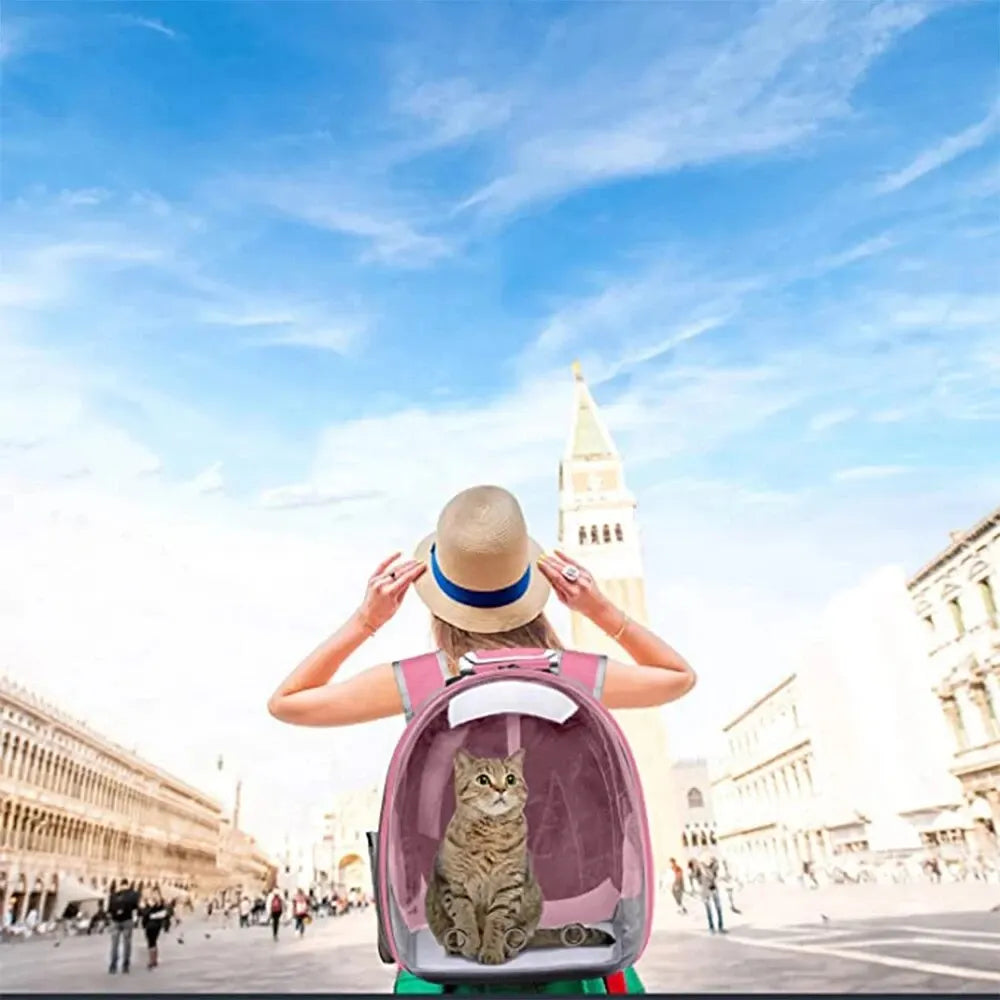 Mochila portamascotas para gatos, cápsula transparente, mochila para mascotas con burbujas, Animal PEQUEÑO, cachorro, gatito, pájaro, transportador de mascotas transpirable para viajes