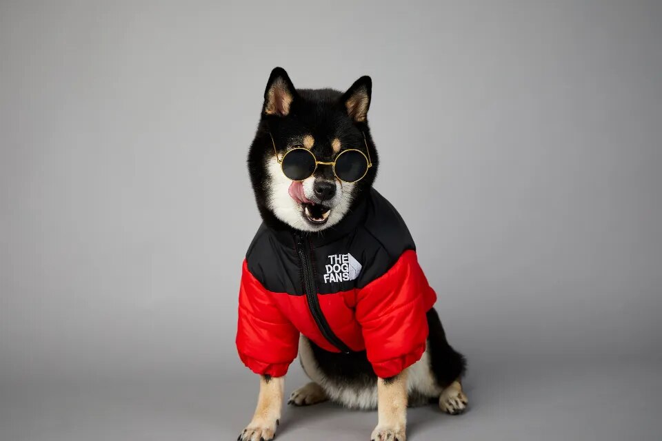 Chaqueta de invierno con cara de perro para perros pequeños y medianos, chaleco grueso y cálido para perros, abrigo para cachorros de Bulldog Francés, estilo de moda