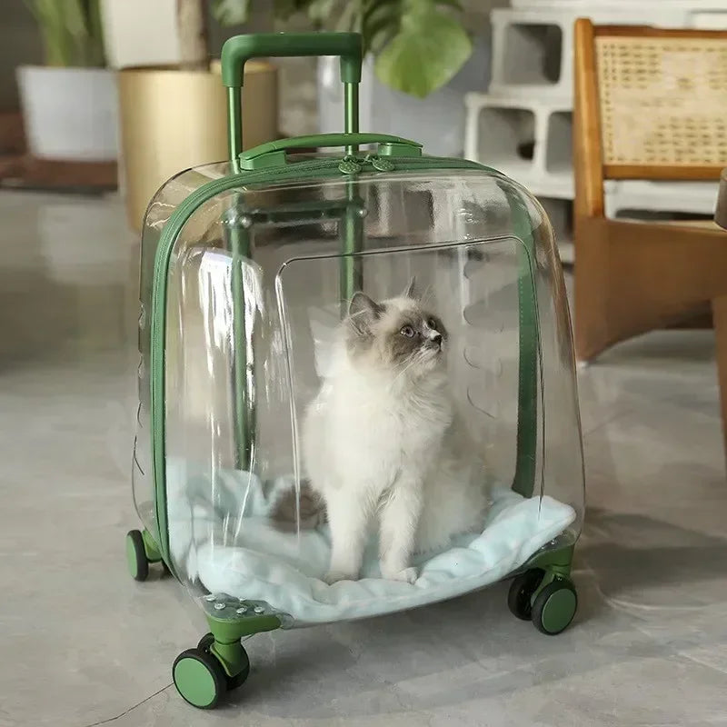 Mochila transparente para mascotas, bolsa transportadora para gatos, cápsula portátil, bolsa transportadora para mascotas