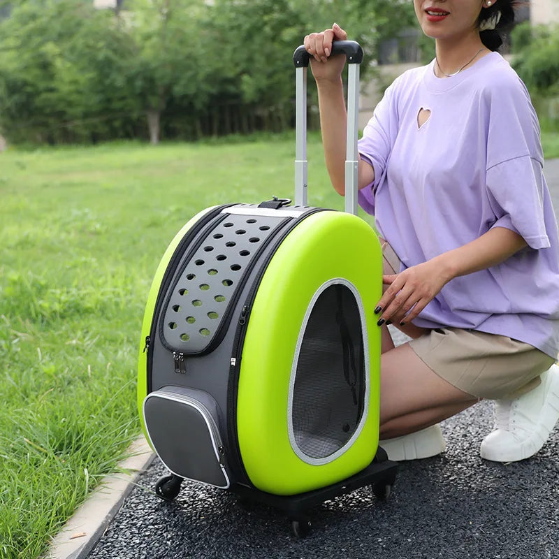 Chariot pour animaux de compagnie, poussette pour chien, grande capacité, pliable, respirant, sac de voiture pour chat, poussette de transport pour animaux de compagnie avec roues amovibles