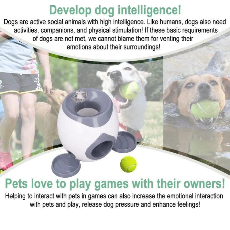 Lanceur automatique de balle pour jouet pour chien, machine de lancement de balle de tennis interactive pour chiens de taille moyenne, mangeoire intelligente d'entraînement interactif