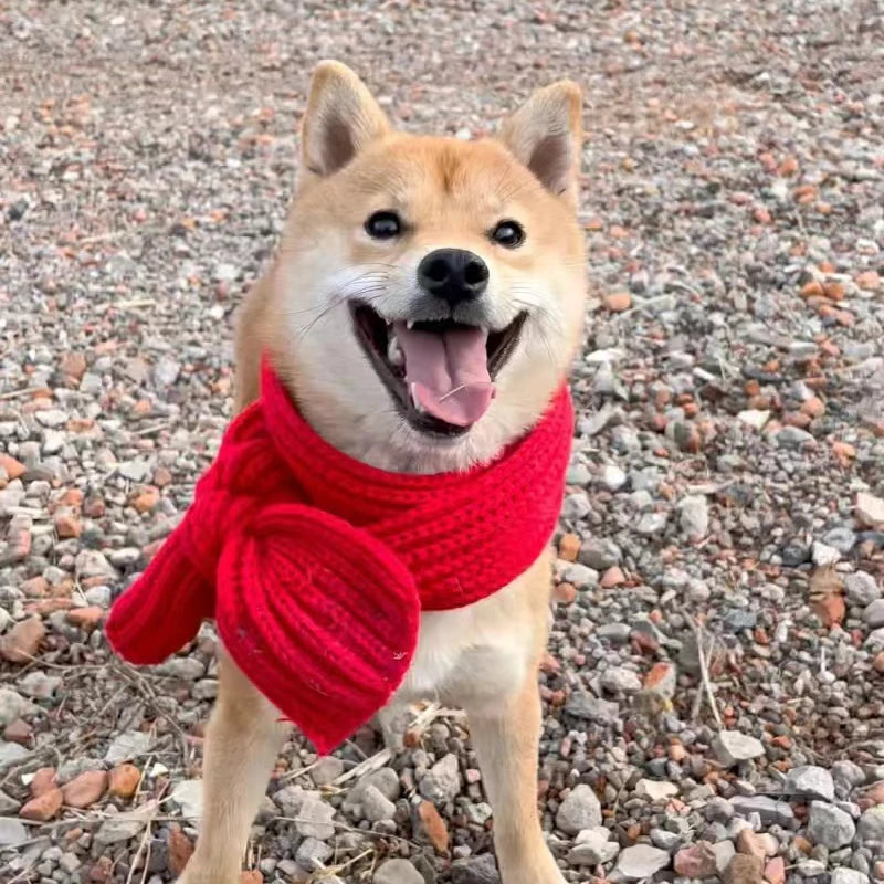 Écharpe tricotée chaude d'hiver pour petits et moyens chiens, écharpe de cou pour chat, carlin/Corgi/collier de noël, toilettage, Style à la mode