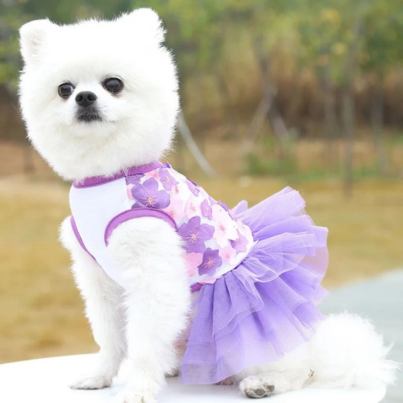 Dog Summer Dress Cat Lace Chiffon Skirt Pet Clothing Chihuahua Skirt Puppy Cat Princess Apparel Puppy Clothe Dog Accessories