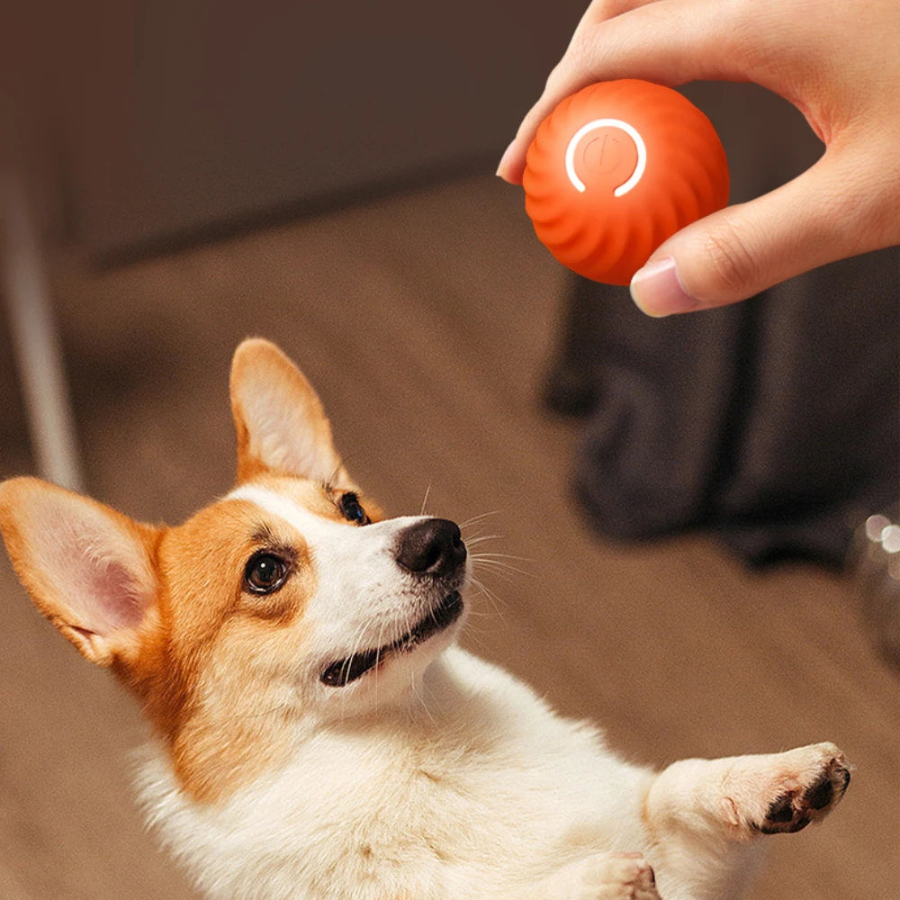 Pelota de juguete para perros inteligente, pelota rodante que rebota en movimiento automático, juguete electrónico interactivo para mascotas, regalo de cumpleaños para cachorros, producto para perros y gatos