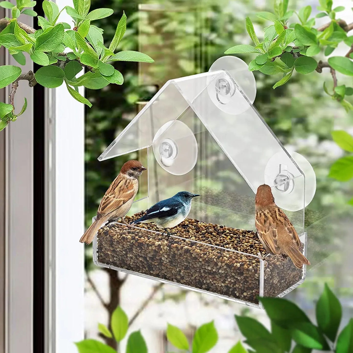 Comedero para pájaros salvajes con ventana, casa, mesa salvaje transparente, ventosas extraíbles, bandeja de alimentación deslizante para jardín, Patio