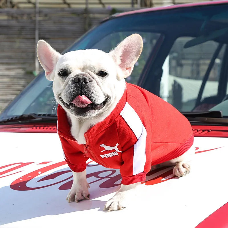 Chaqueta de béisbol para perros, ropa de invierno para perros pequeños y medianos, chaleco para cachorros, sudadera para Bulldog Francés, abrigo para Pug Chihuahua, estilo de moda