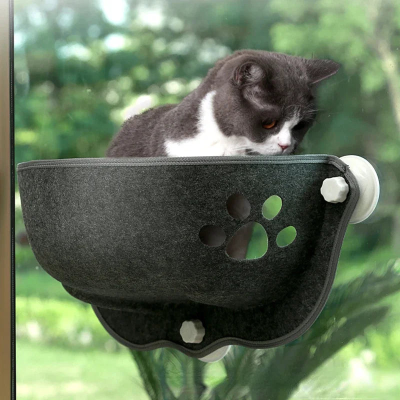 Hamac de fenêtre pour chat, siège de fenêtre ensoleillé, avec coussin, lit de couchage suspendu pour chaton, avec ventouses fortes, pour animaux de compagnie