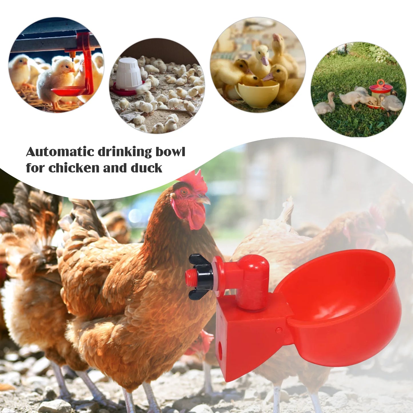 Gobelet à boire automatique en plastique pour poulet et canard, 6 à 36 pièces, mangeoire pour poulet, pour ferme de volaille, gobelets d'eau, Installation facile