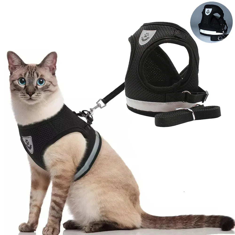 Harnais et laisse réglables et respirants pour chien et chat, gilet anti-fuite, harnais pour chiot, chien, chaton, collier réfléchissant pour chat