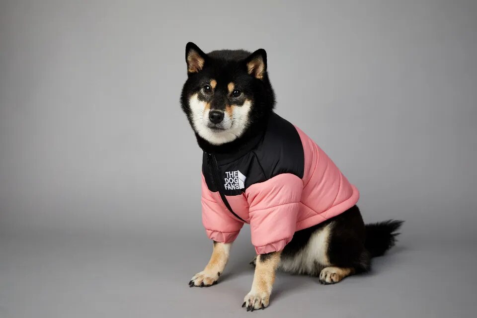 Chaqueta de invierno con cara de perro para perros pequeños y medianos, chaleco grueso y cálido para perros, abrigo para cachorros de Bulldog Francés, estilo de moda