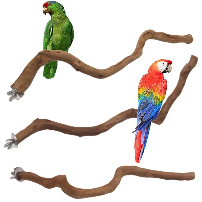 Support naturel pour perroquet, perche à oiseaux, bâton d'arbre, fourchette de meulage de pattes, perruche, oiseau grimpant, Branches debout, jouets, accessoires pour cage à oiseaux