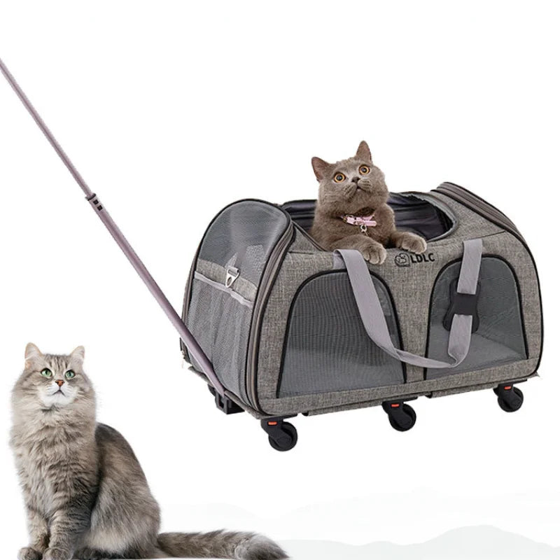 Boîtier de chariot pour animaux de compagnie, roue universelle détachable, respirant, pliable, grande capacité, sac pour chien et chat, transport pour 15kg