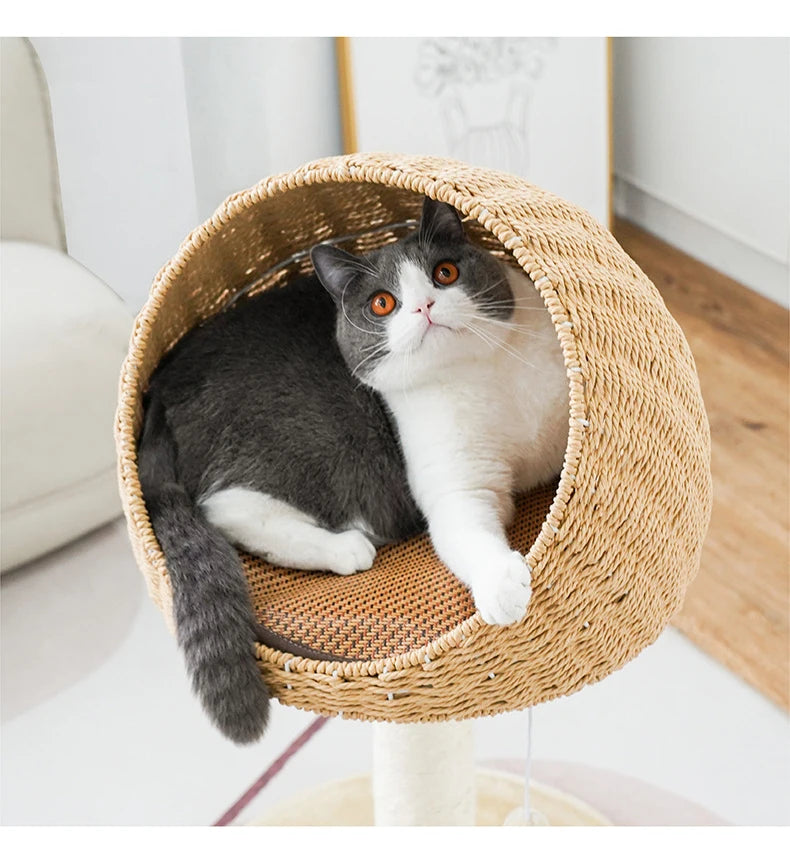 Árbol de escalada para rascar gatos, casa tejida de mimbre, trinquete de molienda para mascotas, poste rascador de Sisal, marco rascador para gatos, cama tipo nido, Juguetes