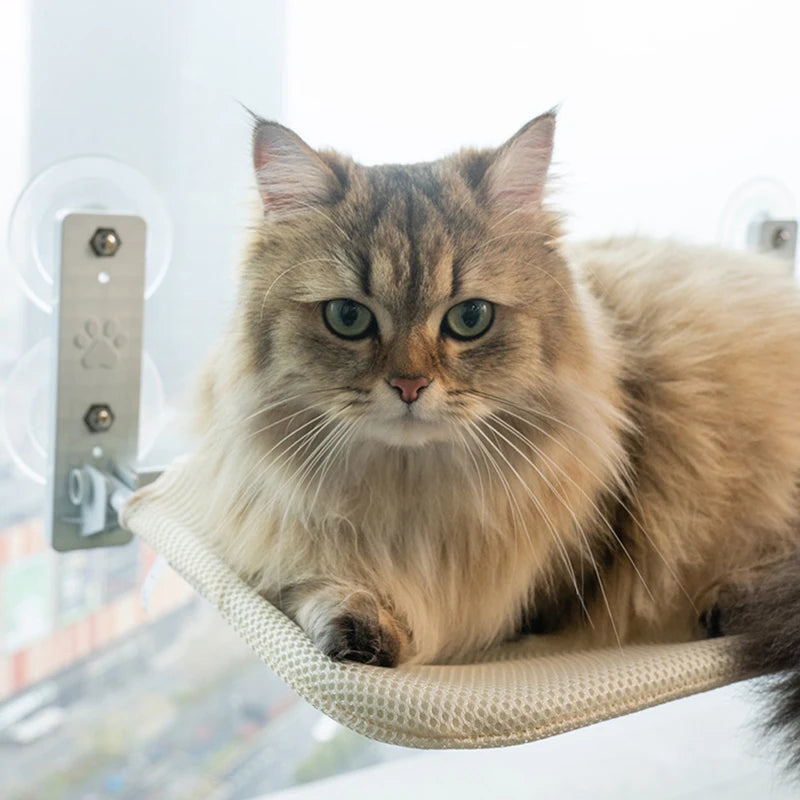 Foldable Cat Window Hammock Cat Window Cordless with 4 Strong Suction Cups Windowsill Cat Beds Seat for Indoor Cats Inside