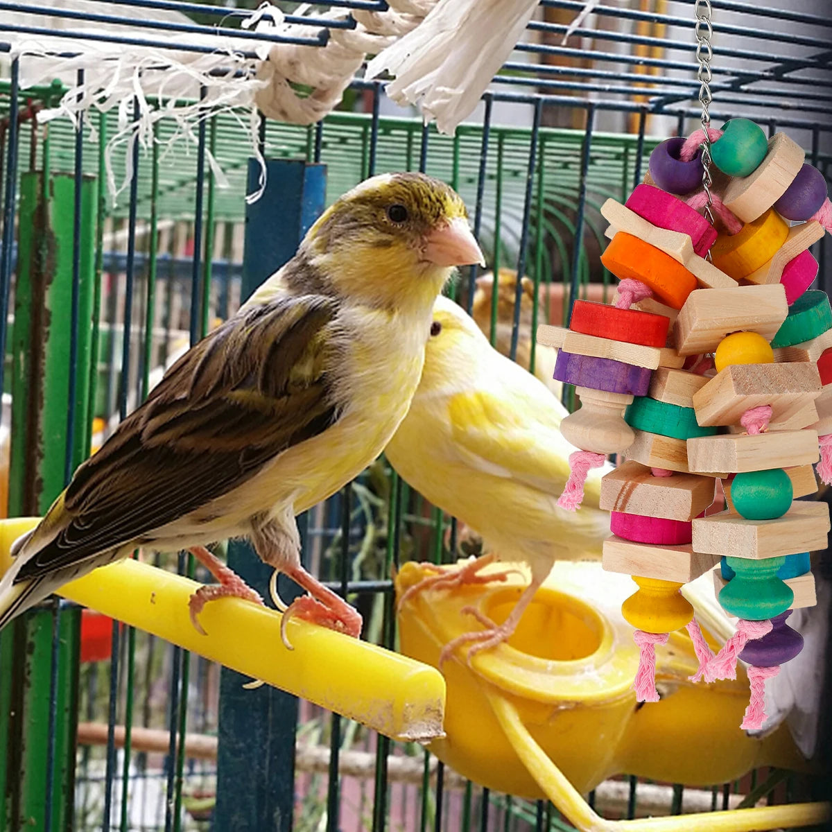 Jouets en bois pour perroquets, Cage à oiseaux suspendue, jouets à mâcher, blocs de recherche de nourriture multicolores pour oiseaux, perroquets, perruches, produit pour animaux de compagnie