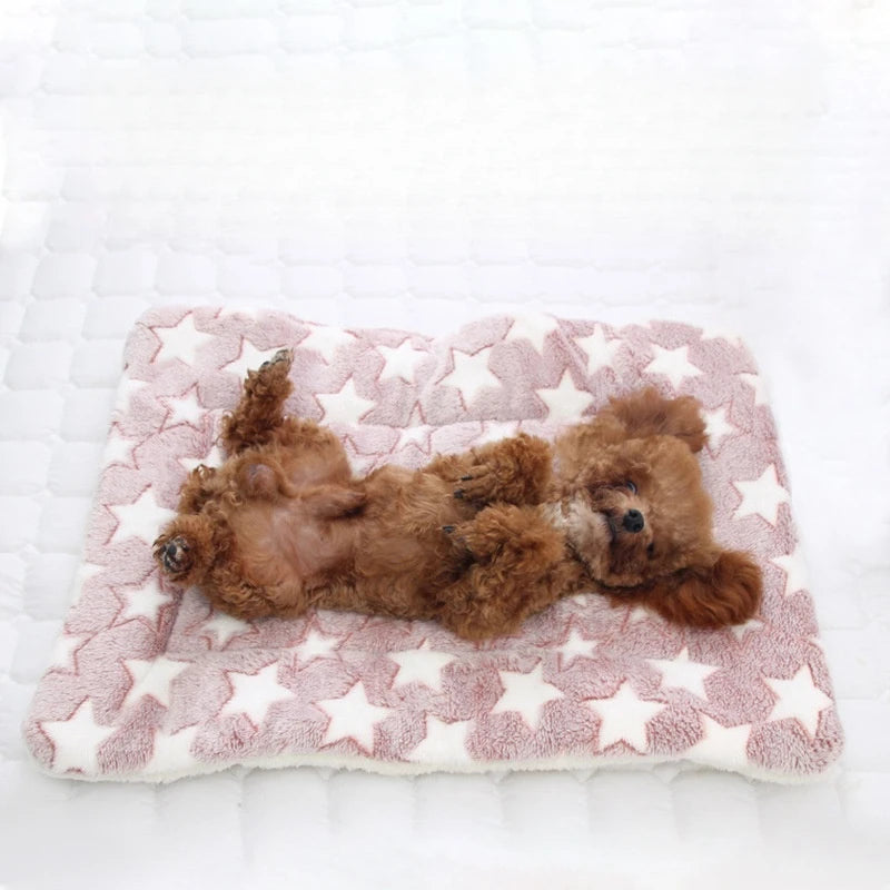 Ultra Soft Plush Cat Bed Mat with Cute Prints Reversible Fleece Dog Crate Kennel Pad Cozy Washable Thickened  for Kitten Puppy