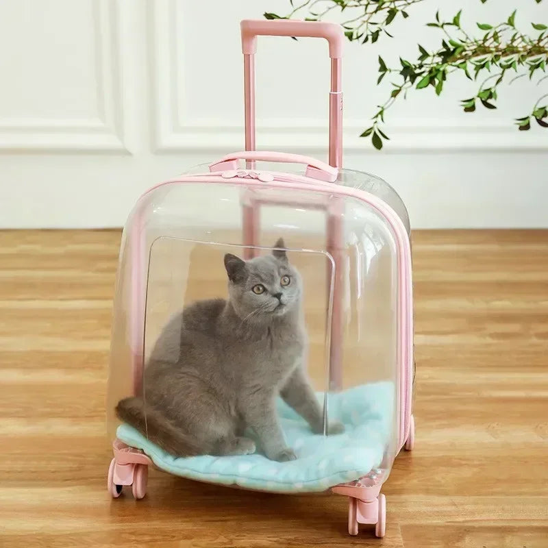 Mochila transparente para mascotas, bolsa transportadora para gatos, cápsula portátil, bolsa transportadora para mascotas