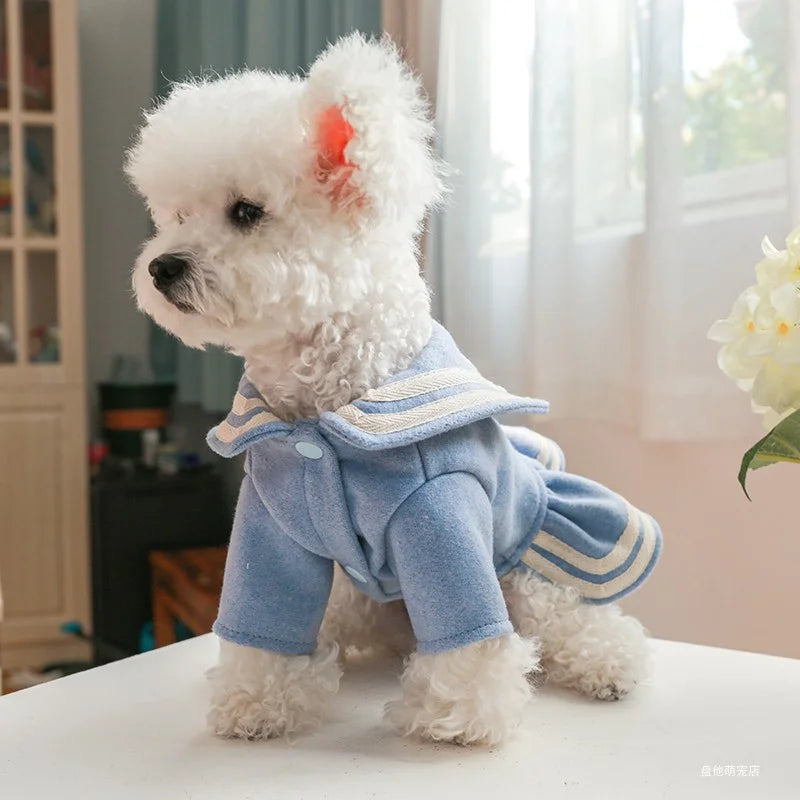 Ropa para mascotas, vestido de princesa con etiqueta dorada y azul cálido y grueso para otoño e invierno, para perros pequeños y medianos, 1 unidad