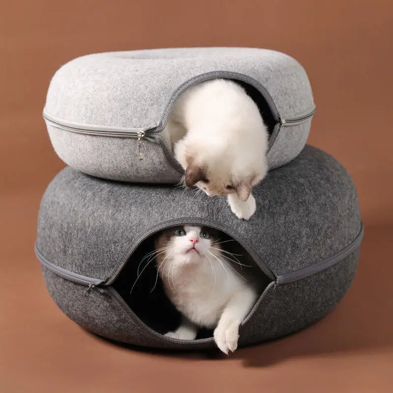 Lit beignet pour chat, Tunnel pour animaux de compagnie, jeu interactif, jouet pour chat, jouet d'intérieur à double usage, équipement de sport pour chaton, jouet d'entraînement pour chat, maison pour chat