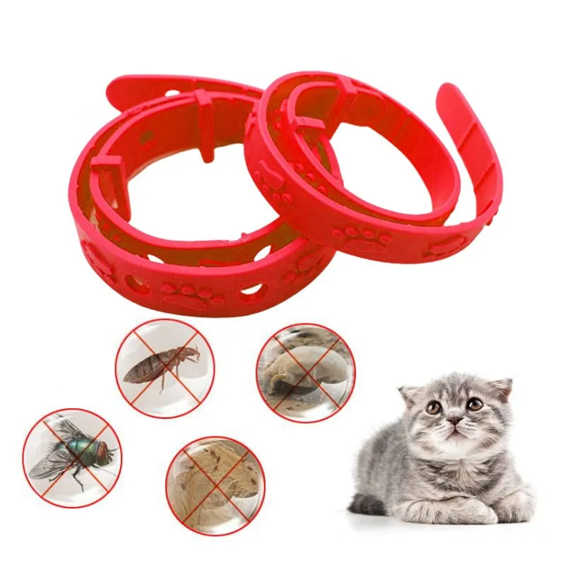 2/3pcs Pet Dog Cat Collars Veterinary Anti Flea And Tick Collar For Cats Anti-parasitic Necklace For Large Small Dogs Products