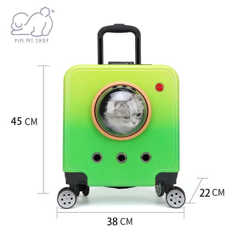 Chariot pour animaux de compagnie, chien et chat, valise de transport, bagages à roulettes, respirant, poussette, sac à main de voyage, sortie, boîte à bulles Portable