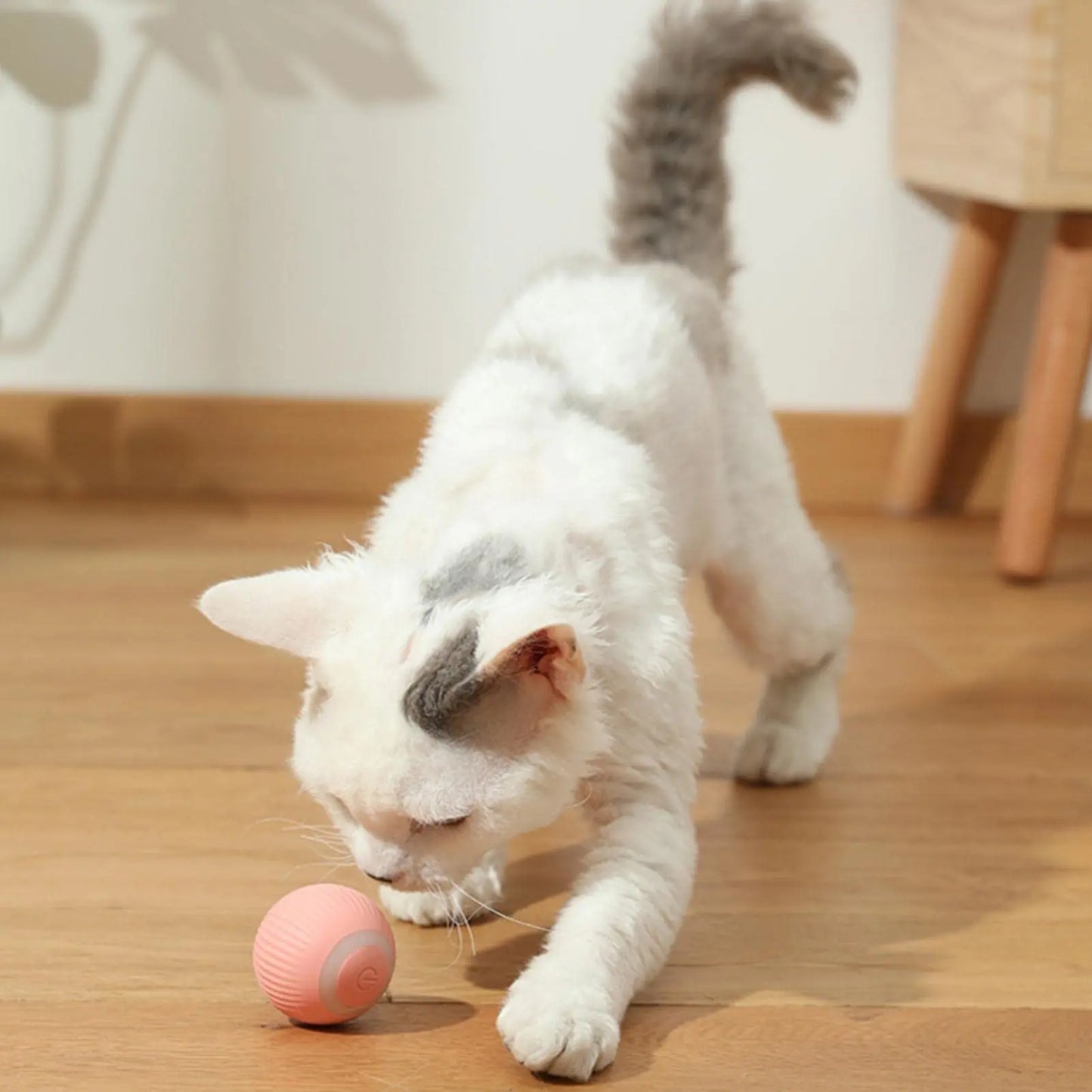 Jouets intelligents à bille roulante pour chat, rechargeables, balle à mouvement, jouets pour chaton auto-mobiles, pour jeu interactif en intérieur, 2023