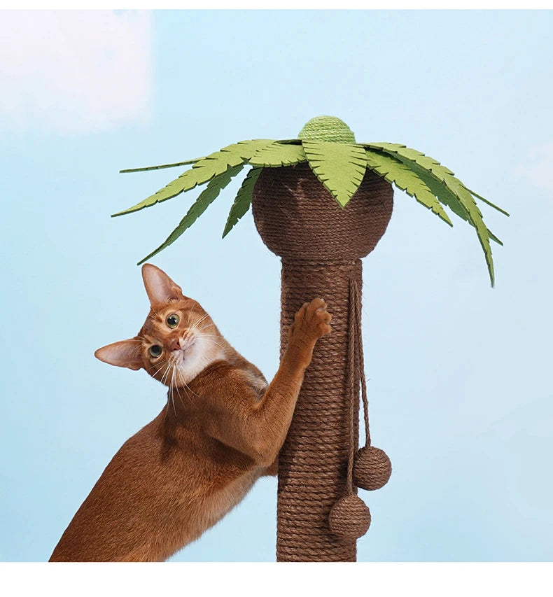 Postes rascadores para gatos, marco de escalada con forma del árbol de coco, tablero rascador para gatos de cáñamo y Sisal con bola, juguetes con forma de garras para mascotas