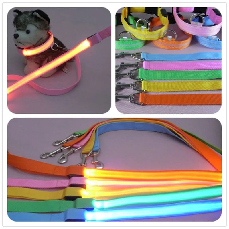 Correa luminosa para perro con luz LED, correa de plomo para seguridad de perro, Collar brillante intermitente, arnés, accesorios electrónicos para mascotas