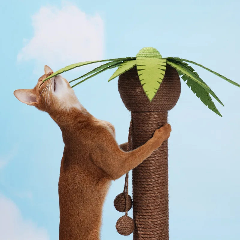 Postes rascadores para gatos, marco de escalada con forma del árbol de coco, tablero rascador para gatos de cáñamo y Sisal con bola, juguetes con forma de garras para mascotas