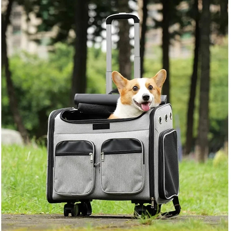 Mochila para mascotas de gran capacidad, práctico cochecito de viaje para animales, varilla de refuerzo, asiento para perros, cesta multifuncional para perros