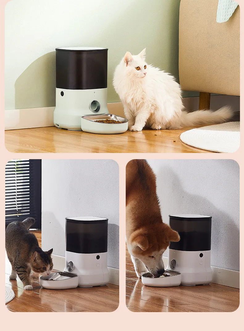 MiFuny Bol Automatique Pour Animal De Compagnie Pour Chats Distributeur De Nourriture Pour Chat Bol Pour Chien Grande Capacité WiFi Synchronisation Intelligente Télécommande Chat