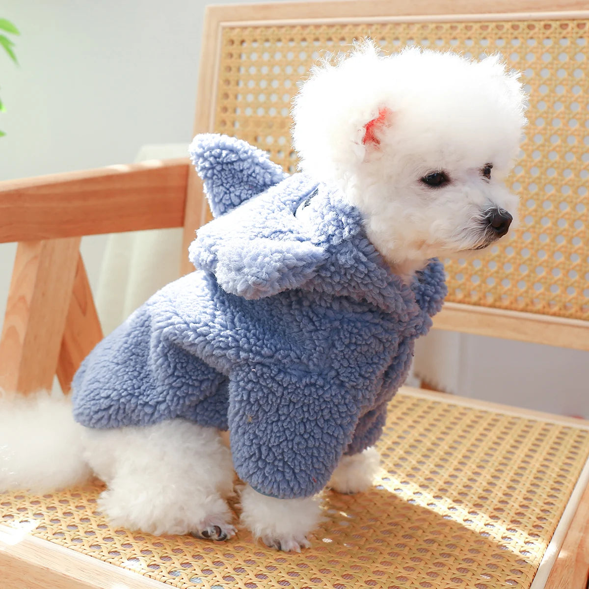 1PC Pet Apparel Cat Autumn Winter Thickened Warm Blue Grey Shark Coat Sweater Hoodie With Drawstring Buckle For Small Medium Dog