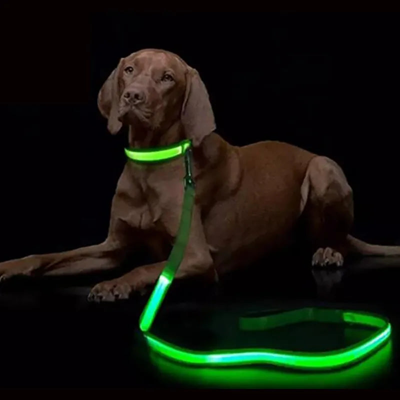 Correa luminosa para perro con luz LED, correa de plomo para seguridad de perro, Collar brillante intermitente, arnés, accesorios electrónicos para mascotas