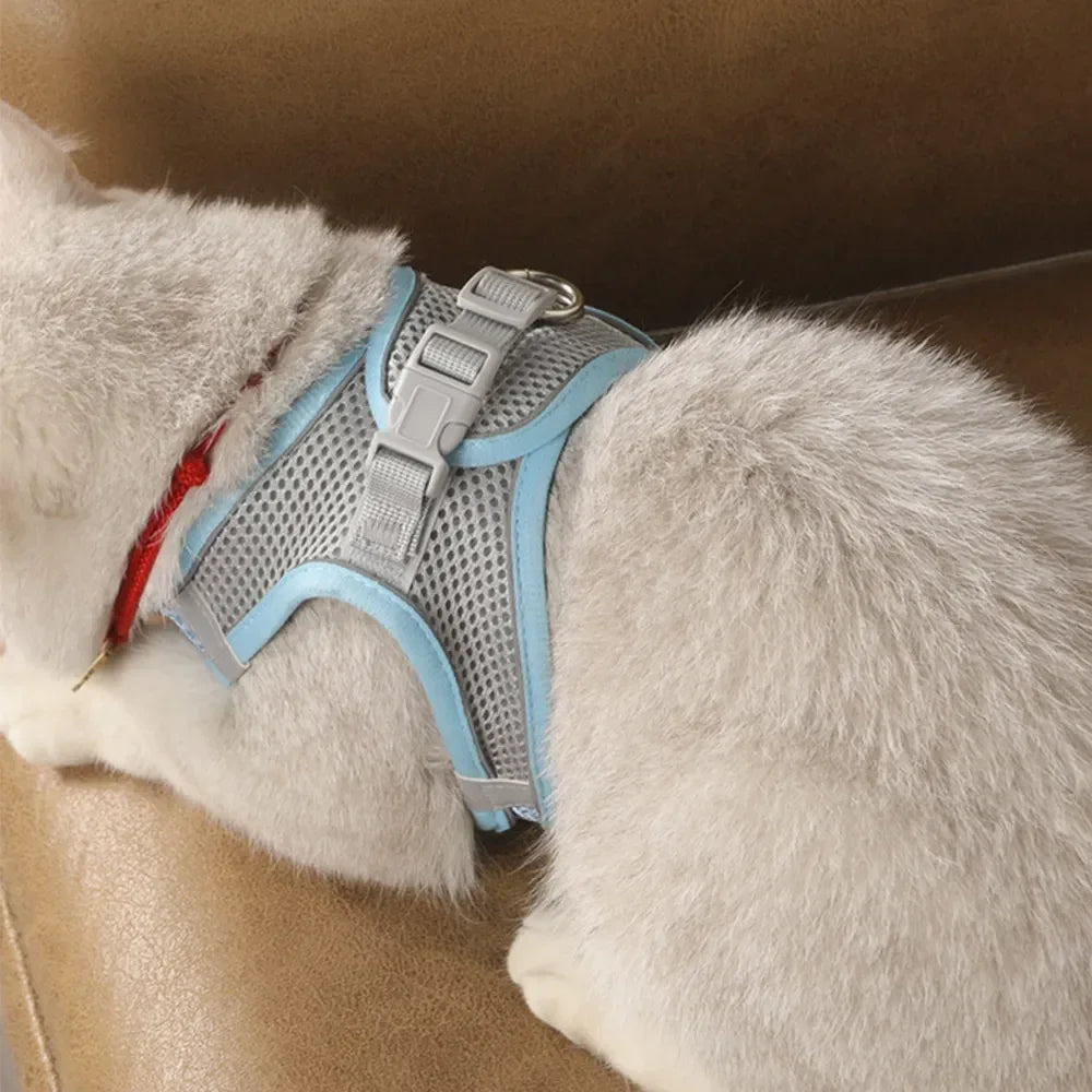 Arnés mediano para cachorros y gatos, accesorios reflectantes para perros que caminan en el pecho, conjunto de chaleco transpirable para gatitos, conjunto pequeño, arnés de cuerda para exteriores