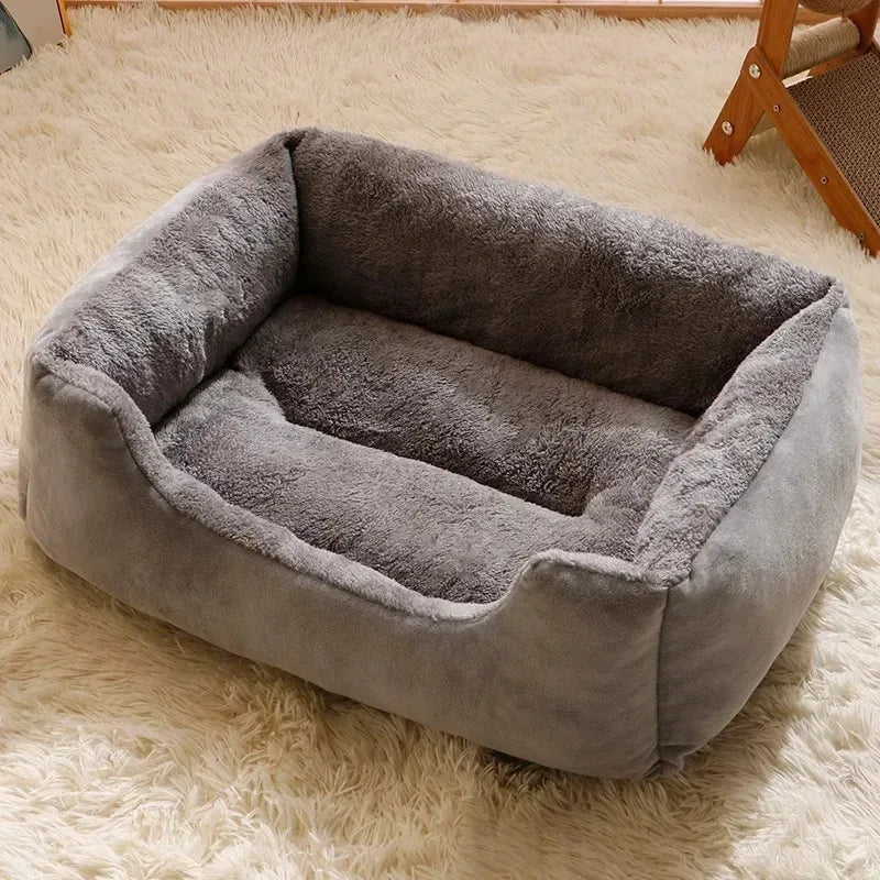 Bed for Cats Pet Products Goods Accessories Dog All Houses Supplies Cushions Kitten Things Accessory Habitats Basket House Beds