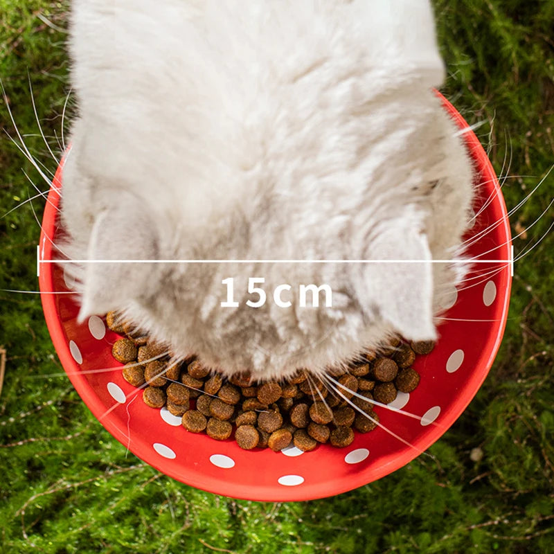 Bol en céramique surélevé pour chat, mignon, nourriture pour animaux de compagnie, mangeoires d'eau, petits chiens élevés, boire et manger