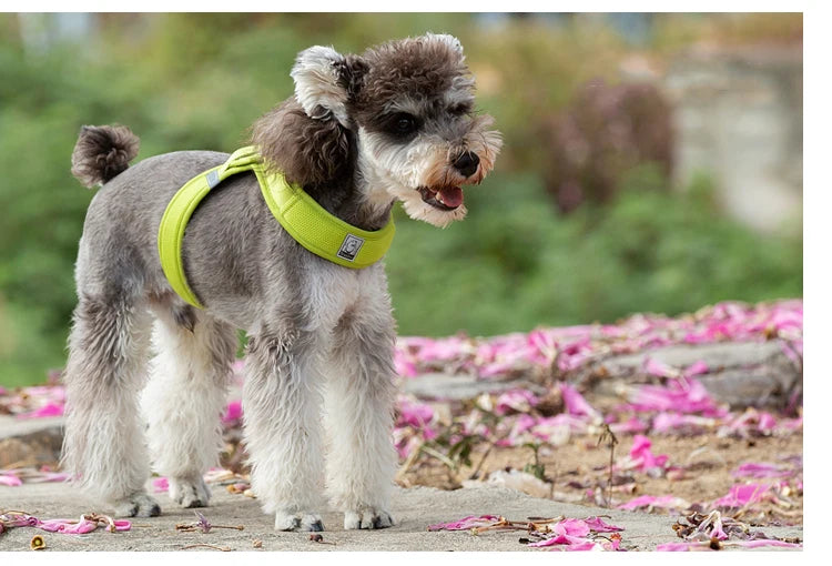 Portabebés para perros pequeños, hebilla en D de aluminio, gancho para caminar y bucle, accesorios portátiles para ponerse y quitarse