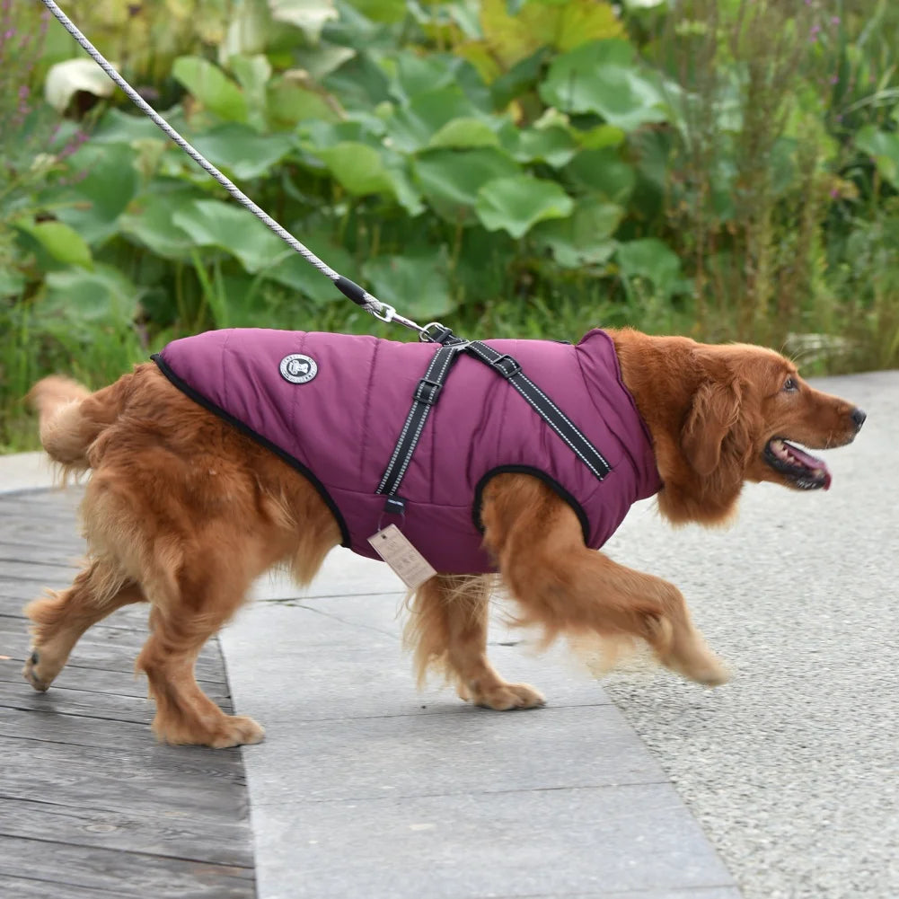 Abrigo para perro a prueba de viento para clima frío, chaqueta de invierno para exteriores para mascotas con anillo para correa, ropa cómoda de algodón, chaleco impermeable para perros grandes