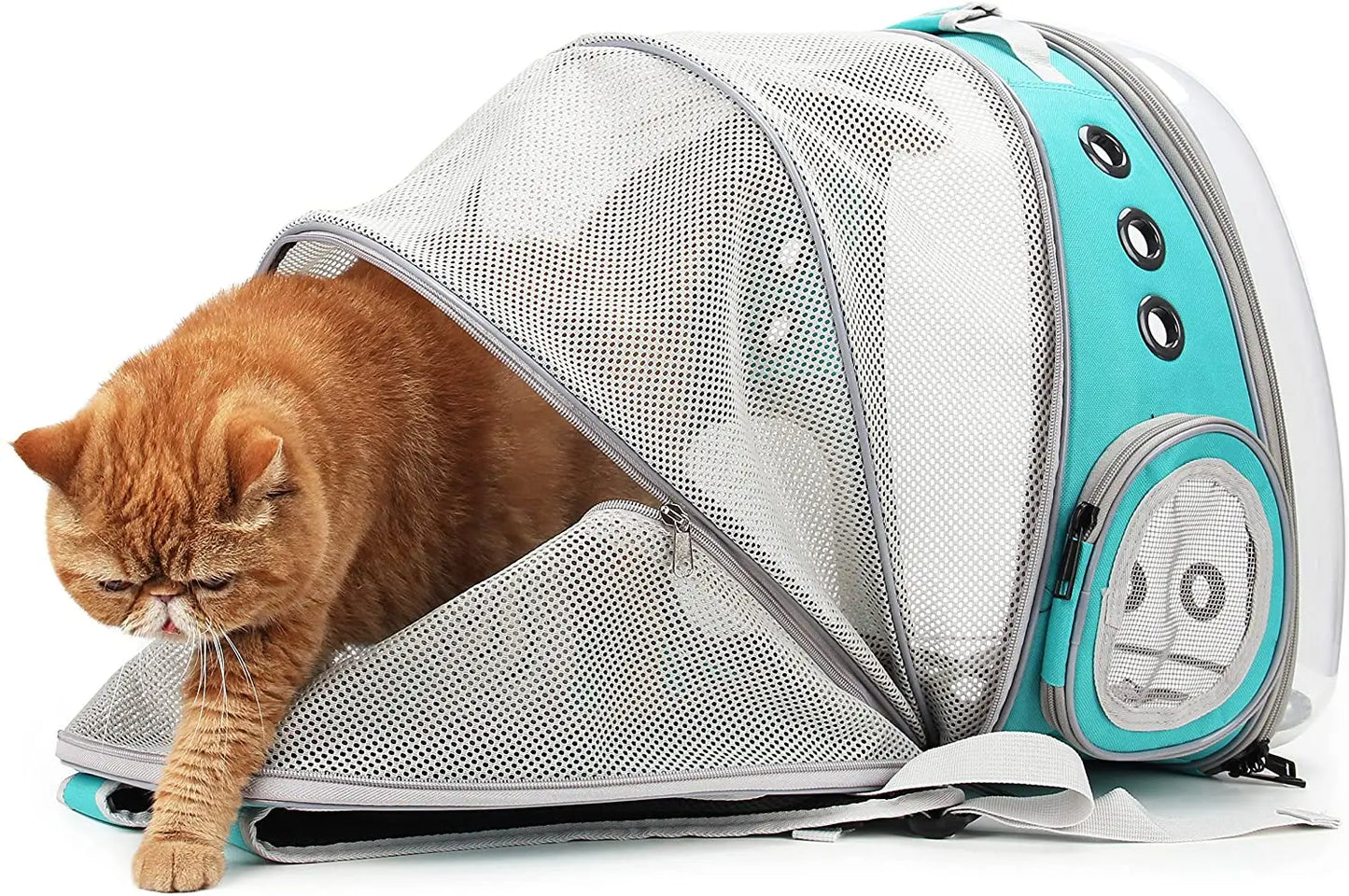 Mochila para gatos, bolsa de burbujas, mochila para perros pequeños, cápsula espacial, mochila transparente para transportar gatos