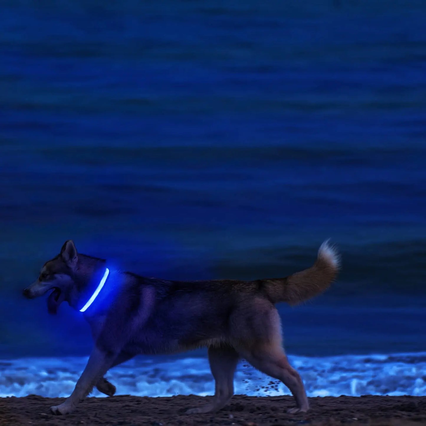 Collar LED para perro XS/M, recargable por USB, luces para Collar de perro, luz nocturna de seguridad suave ajustable, intermitente, 3 modos, suministros para mascotas