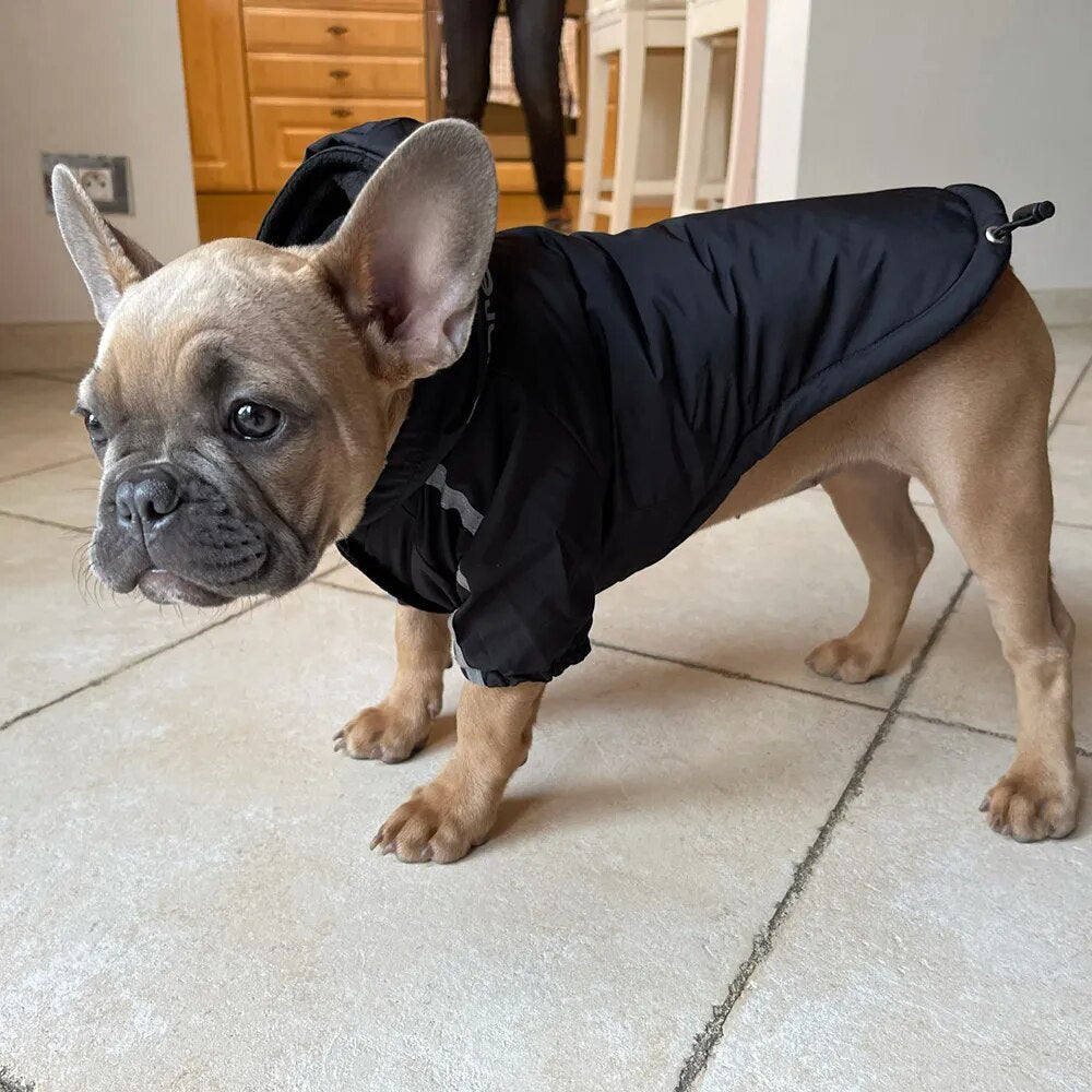 Otoño Invierno perro mascota impermeable abrigo cálido chaqueta con capucha de algodón la cara del perro perros pequeños gato reflectante ropa para mascotas abrigo de invierno