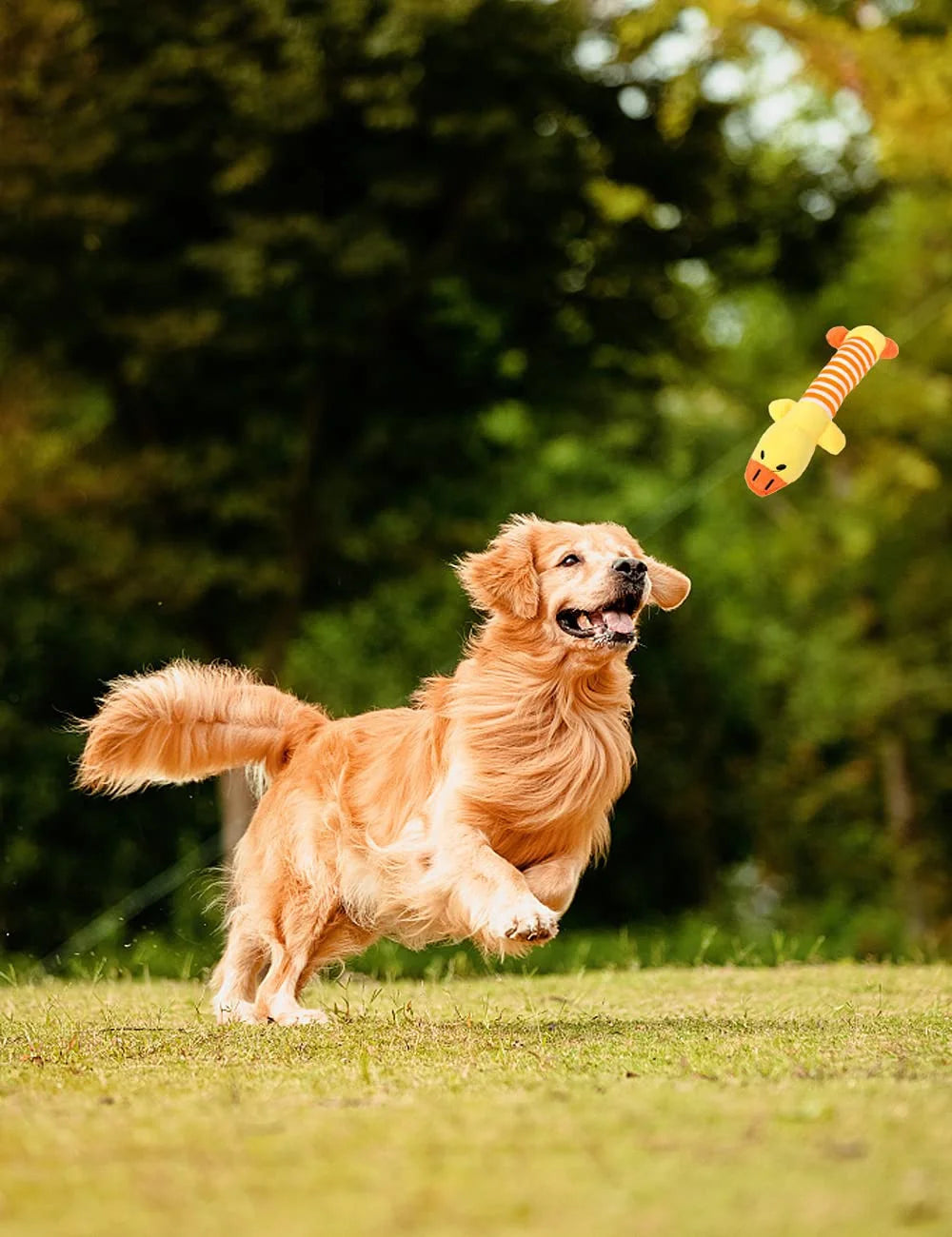 Vida creativa, juguetes interactivos para perros, chirriador para masticar para cachorros, sonido de peluche, cerdo, elefante, pato, juguetes con sonido para perros