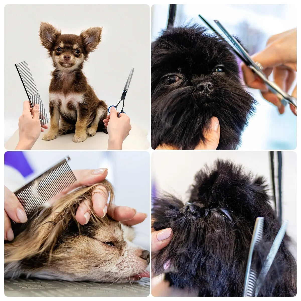 Ciseaux de toilettage en acier inoxydable pour chiens, costume de coiffeur pour chiens, outils de coupe professionnels pour animaux de compagnie, 5 pièces/ensemble