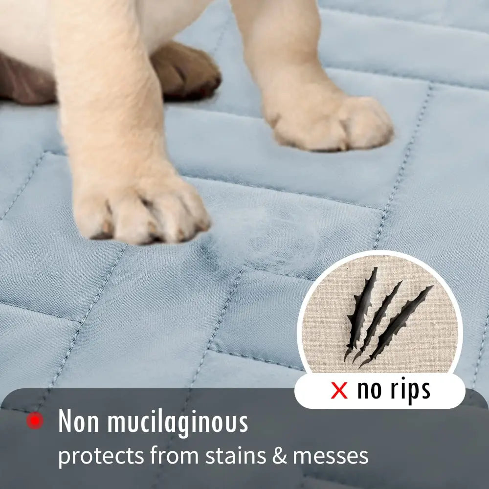 Couverture de lit imperméable et antidérapante pour chien et animal de compagnie, tapis de lit pour animal de compagnie, protection de matelas contre l'incontinence de voiture, housse de canapé pour meubles