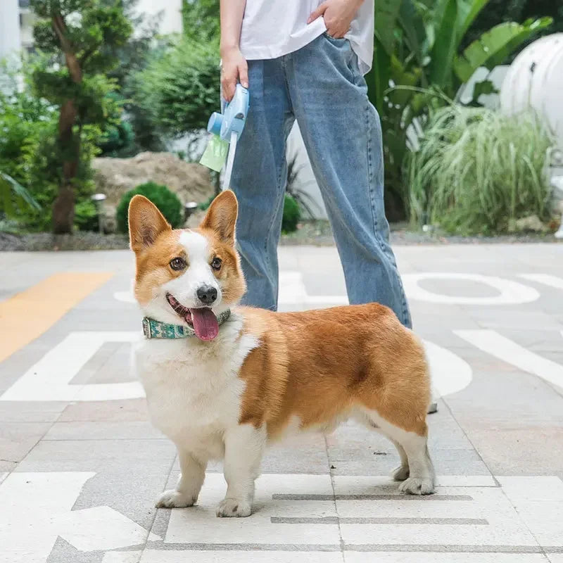 Correa LED retráctil para perros pequeños y medianos, extensión de Collar de nailon para ruleta con accesorios para caca, 3/5M