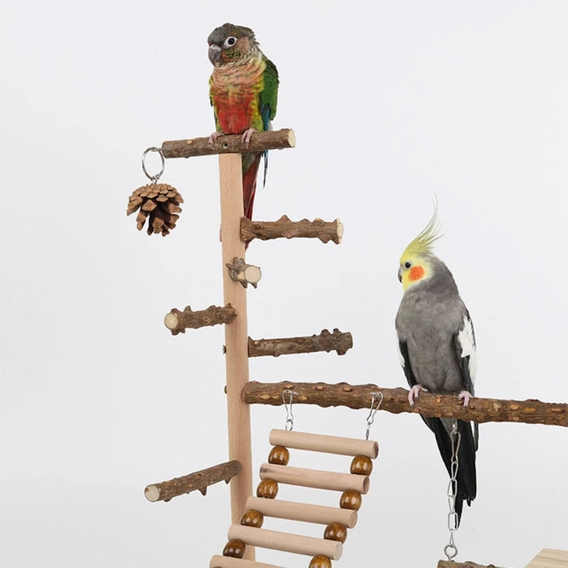 Hotsale oiseau balançoire jouet en bois perroquet perche support de jeu avec perles à mâcher Cage aire de jeux oiseau balançoire jouet en bois perroquet perche