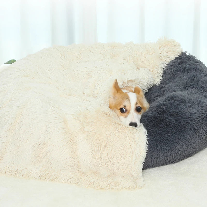 Couverture douce et longue en peluche pour animaux de compagnie, tapis multi-usage, couverture de canapé, confortable et chauffante, pour lit de chiot, chien et chat